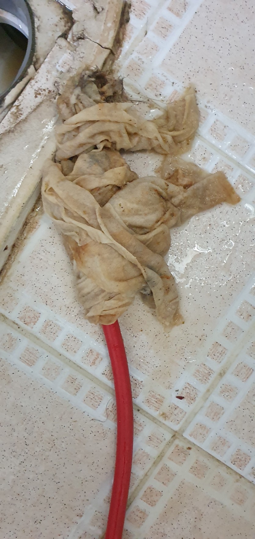 dd37470e297a407c20f8fd88703db731_1657161399_4169.jpg