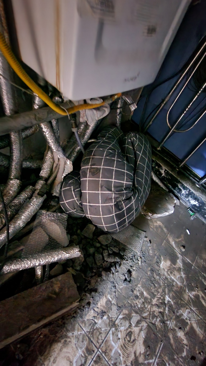 ce01addb07399c141e36e44183bb8226_1769412697_4035.jpg